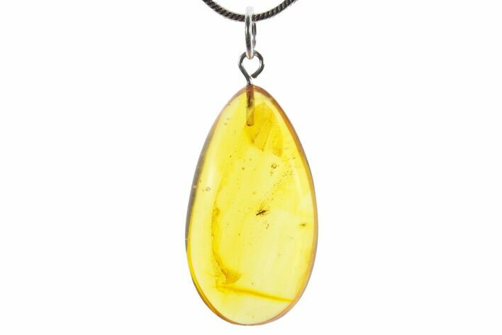 Polished Baltic Amber Pendant (Necklace) - Contains Fly! #352965